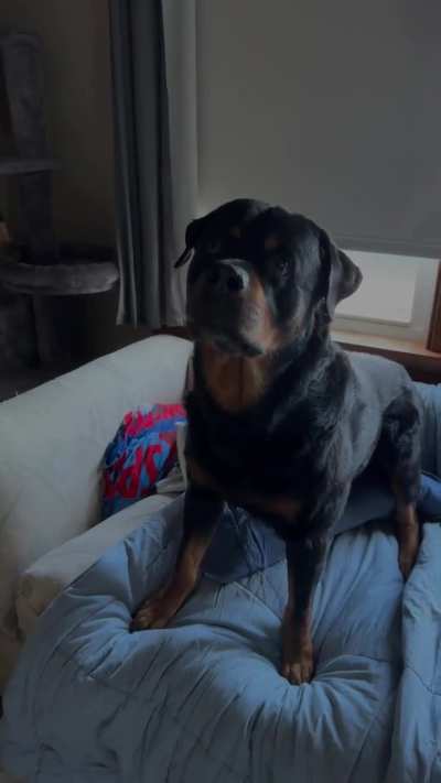 I miss my boy so much