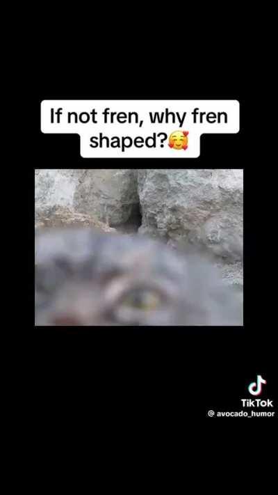 If not fren, why fren shaped?