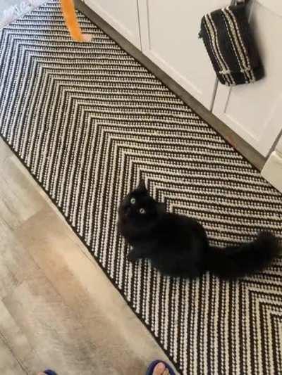 My sweet Mars was very interested in this piece of carrot peel