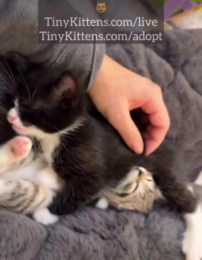 The fastest sleep 💤 