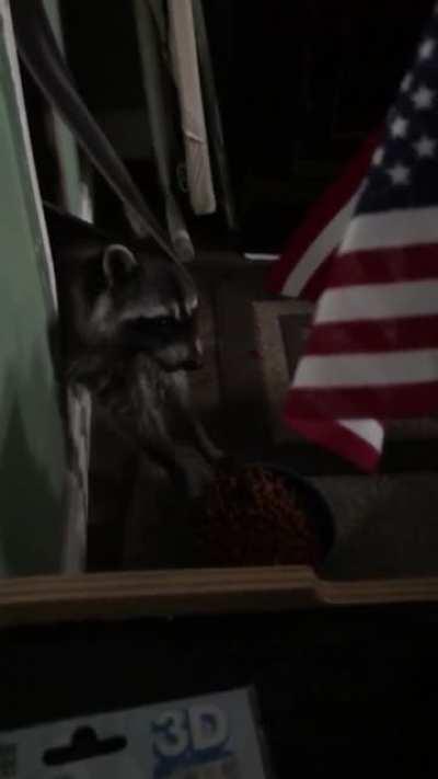 Крошка Енот