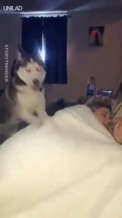 wake up master, it's time to walk😄