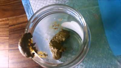 (F) Gassy wakes Classy up with the smell of her shit in the morning! 💩