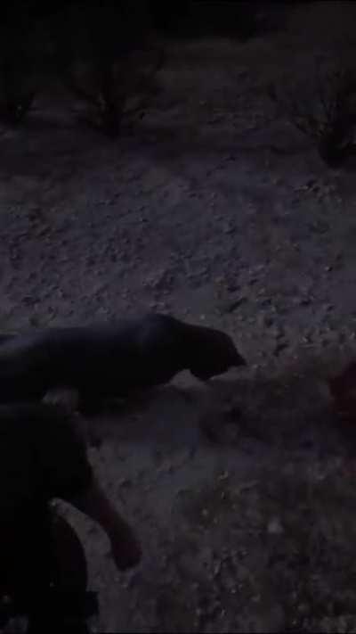 Found this on YT, not sure if this has already been posted