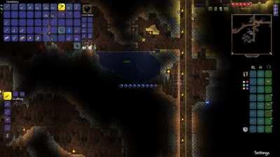 We're brand new to the game, found out about traps the hard way (LOUD)