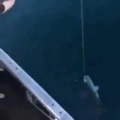 Cursed_Fishing