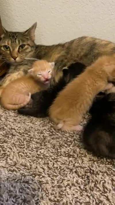 So happy mama and babies