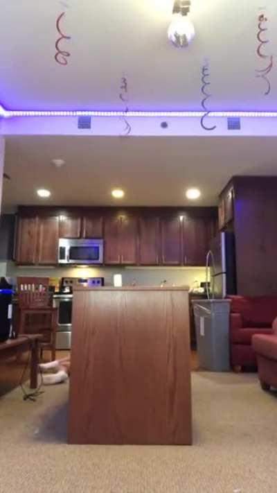 Trying to dance on the counter WCGW