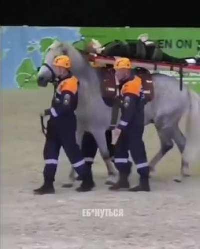 Horse Ambulance