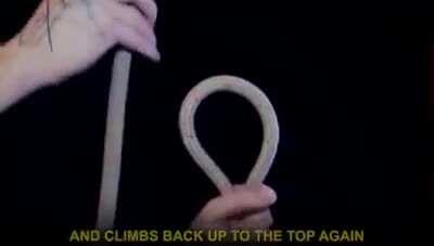 For if you need this tutorial