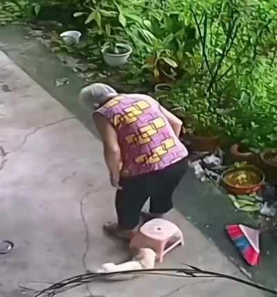 GRANNY's LITTLE HELPER:)))