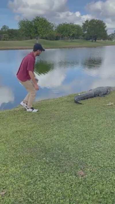 Maybe just take the penalty on this one, buddy.