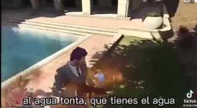 MoaiGreddit - Video #3090