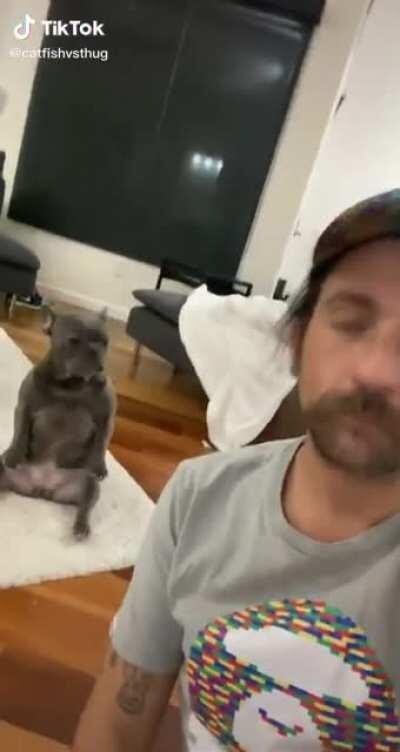 Found this on TikTok