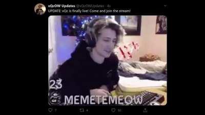 xQc asked a question, so we decided to answer. - The xQcOWUpdates Team.