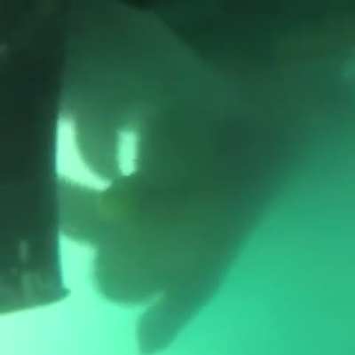 Catamaran Tempest speeding up at 1000 RPM