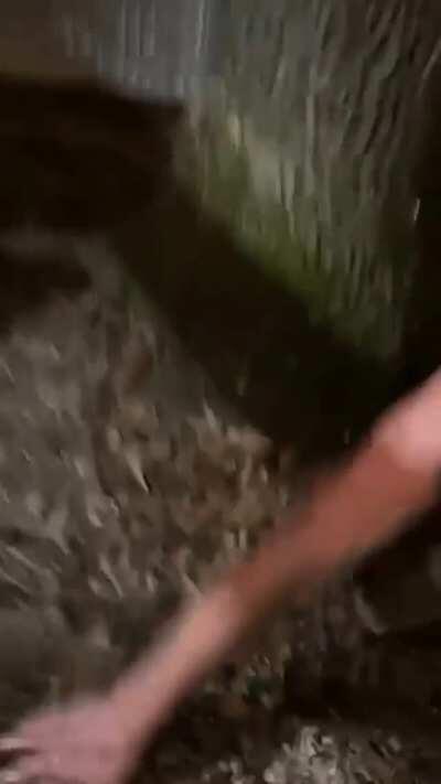 WCGR Spraying pepper spray for fun