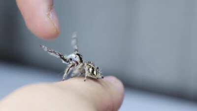 Penelope wants upsies ❤️