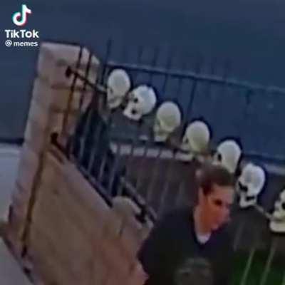 Moldy Bad To The Bone