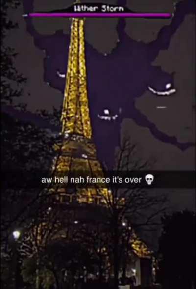 France is done for (glory to spez)