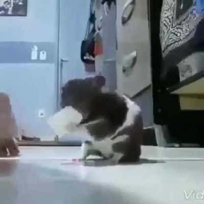 Caralho Jerry, calma man