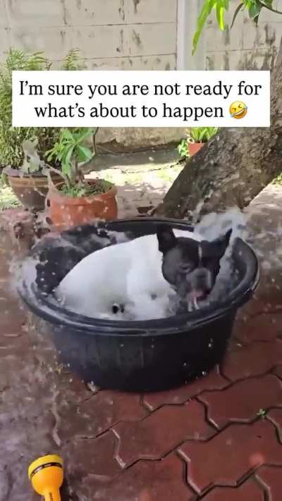 Little tornado 🌪️