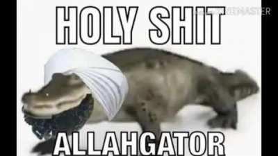 AllahGator