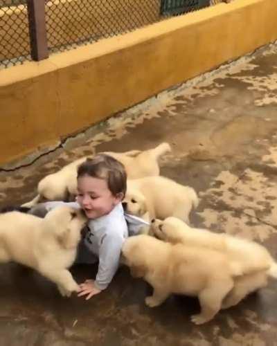 Fun with puppies.