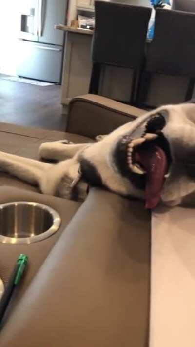 Whatcha doin over there?