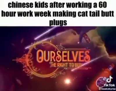 Darkraiposting - Video #4227