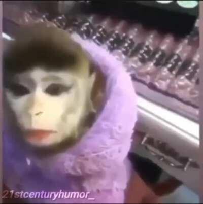 Honestly the funniest shit I’ve ever seen