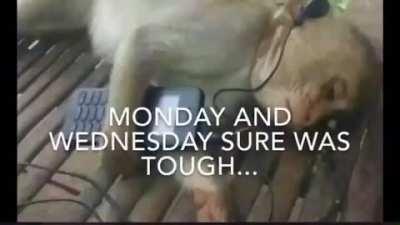 Broskis it's finally friday