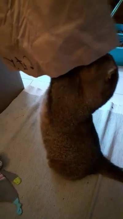 Верните мою прелесть