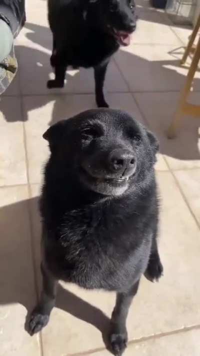 Happy to be out and about and always so photogenic