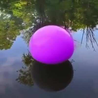 When the tower ball embraces the darkness and goes full witherhoard