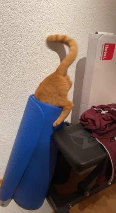 Not sure what the plan was