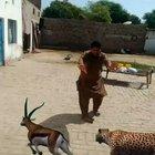 Bruh he really threw that helicopter tho