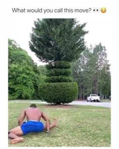 Straight out of a film