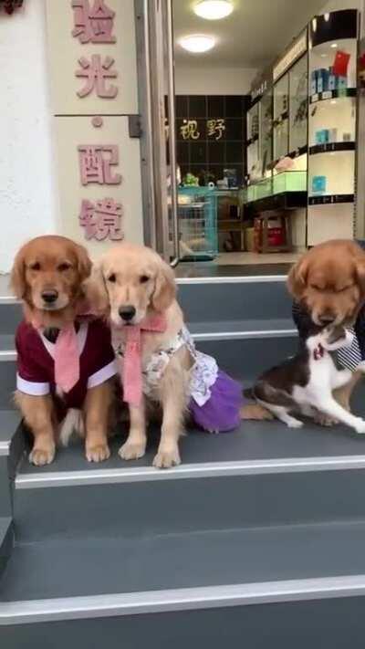 Family photo MUST be perfect