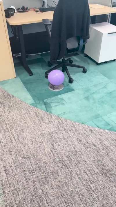 Another day in the office