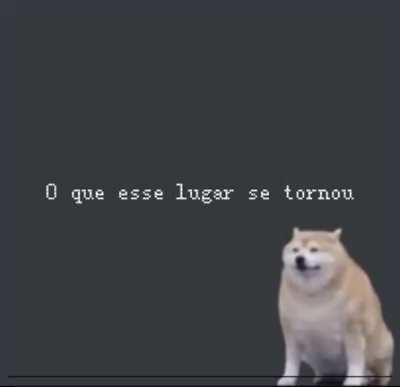 Quando eu entro pra ver a live do muquinha e aparece vários trevos e bichos na minha tela😭😭😭