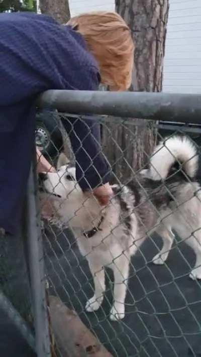 This guard dog had...