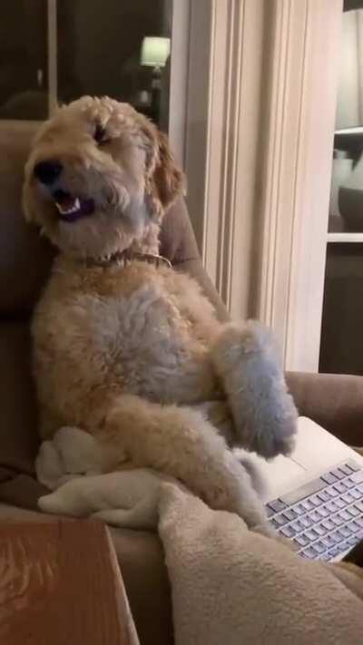 This is my chair now, Dad