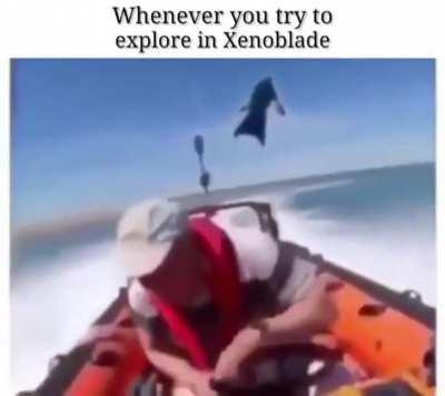 Don't go exploring caw caw