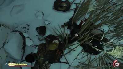 When you get decapitated but remember you didn't delete your Mongolian porn history in one of the tents that Jin's gonna loot