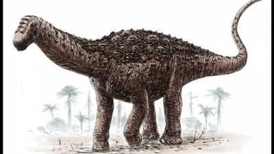 Очень странные вымершие животные. Упоротый палеонтолог