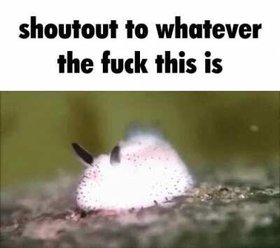 Ayo, remember me? The physics exam went quite well, I'll let you know of the results next week when we get them.