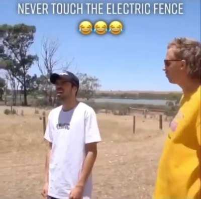 Electric fence