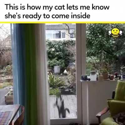 This adorable derp. (Not OC)