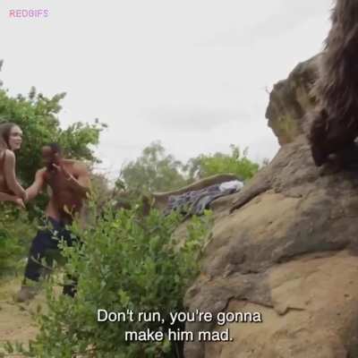 Director of the Year